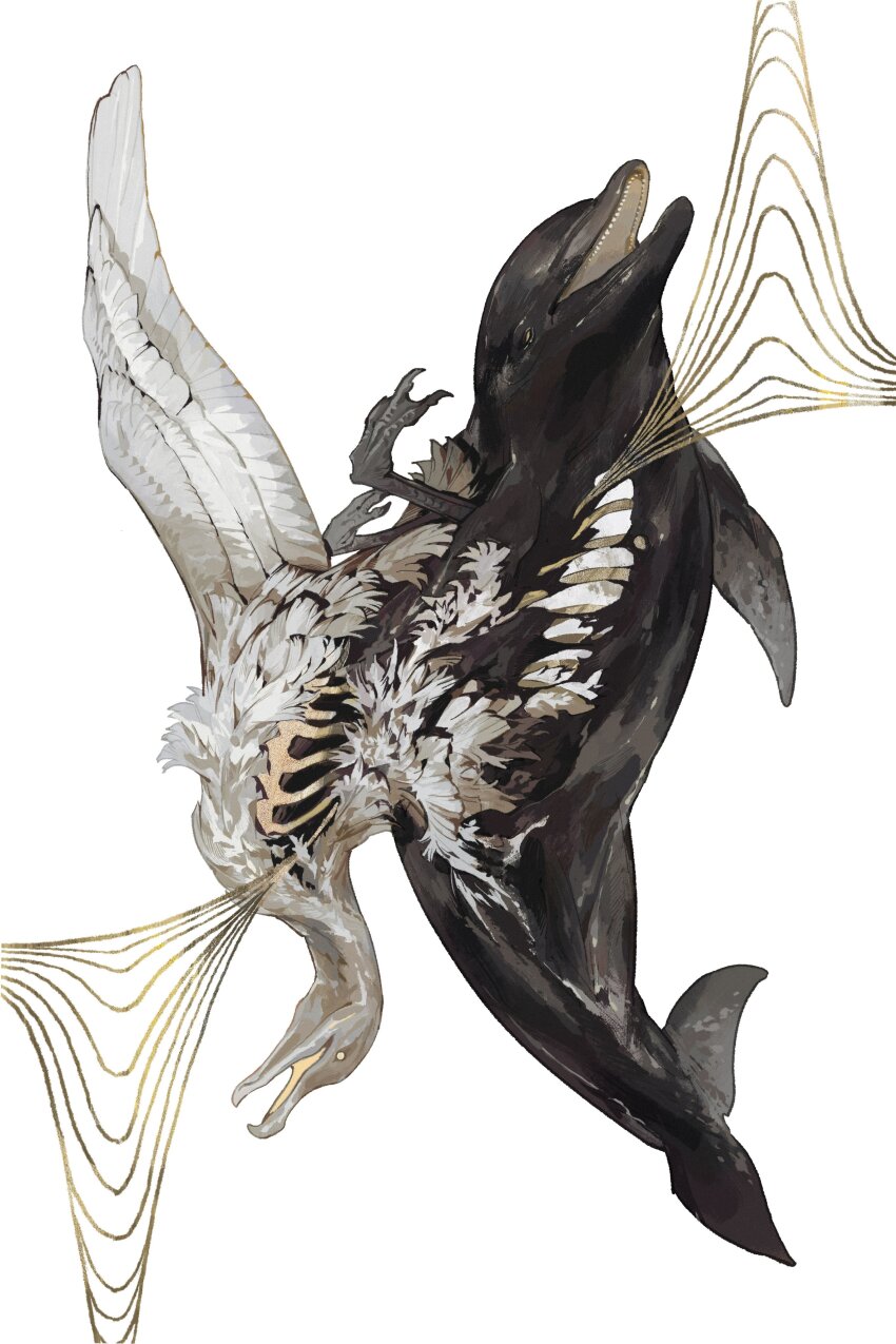absurdres animal_focus bird commentary conjoined dolphin english_commentary feathers highres nightcrow no_humans original ribs shorts simple_background spread_wings upside-down vulture white_background