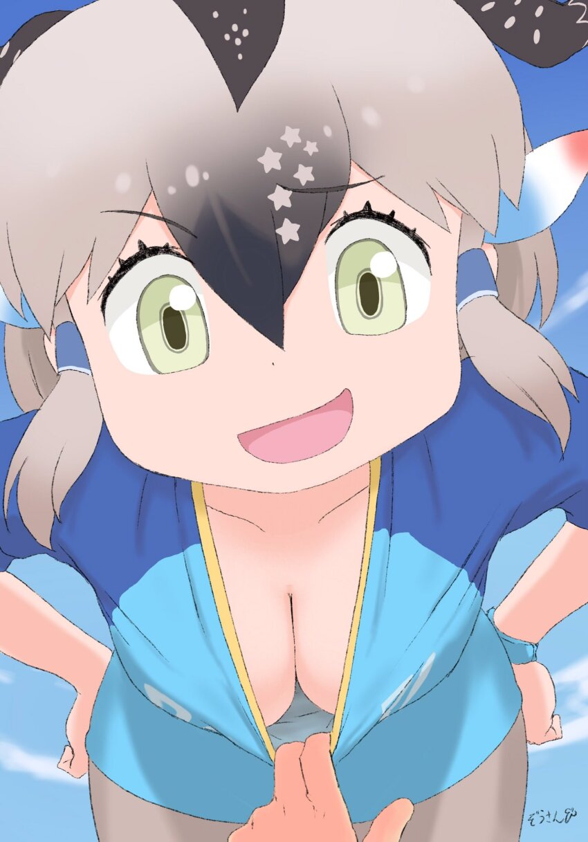 1girl bare_arms black_hair breasts cleavage clothes_pull collarbone commentary cowboy_shot day downblouse greater_roadrunner_(kemono_friends) green_eyes grey_hair hair_between_eyes hair_tubes hands_on_own_hips head_tilt head_wings highres kemono_friends leaning_forward looking_at_viewer masuyama_ryou medium_breasts multicolored_hair open_mouth outdoors pov pov_hands pulling_another&#039;s_clothes shirt shirt_pull short_hair short_sleeves sidelocks smile smug solo_focus star_(symbol) t-shirt wings