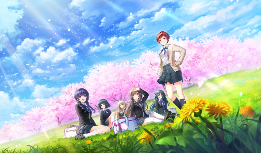 6+girls black_footwear black_hair black_jacket black_socks blonde_hair blue_hair blue_ribbon blunt_bangs blurry braid brown_car car cardigan cherry_blossoms cinderella_series closed_mouth cloud collared_shirt dandelion depth_of_field dutch_angle falling_petals flower game_cg green_eyes green_hair grey_skirt hachigatsu_no_cinderella_nine hair_ribbon hand_on_own_forehead hand_on_own_hip highres hiiragi_kotoha jacket knee_up kondou_saki light_brown_hair light_rays loafers long_hair long_sleeves looking_ahead low_twin_braids motor_vehicle multiple_girls neck_ribbon non-web_source nozaki_yuuki official_art on_grass open_cardigan open_clothes open_mouth outdoors petals pink_petals plaid_clothes plaid_skirt pleated_skirt purple_eyes red_eyes red_hair ribbon satogahama_school_uniform school_uniform senba_ayako shiina_yukari_(hachigatsu_no_cinderella_nine) shirt shoes short_hair sitting skirt sky smile socks spring_(season) standing sunbeam sunlight suzuki_waka thighhighs twin_braids wariza white_bag white_ribbon white_shirt white_socks white_thighhighs winter_uniform