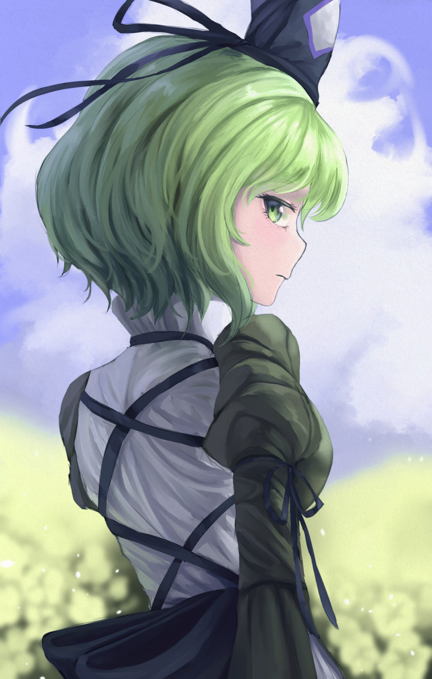 1girl black_hat blurry blurry_background closed_mouth commentary cross-laced_clothes field flower flower_field from_behind green_eyes green_hair hat highres juliet_sleeves long_sleeves looking_at_viewer looking_back outdoors puffy_sleeves pygrenix short_hair soga_no_tojiko solo tate_eboshi touhou upper_body