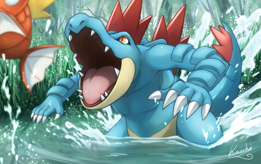 blurry blurry_foreground claws commentary_request day feraligatr fish gen_1_pokemon gen_2_pokemon kaichi_(tomiyu25) magikarp nintendo no_humans open_mouth orange_eyes outdoors pokemon pokemon_(creature) signature tongue water