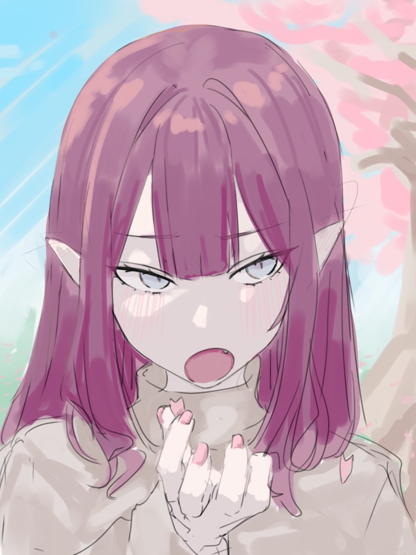 1girl arms_up baobhan_sith_(fate) brown_sweater cherry_blossoms dress falling_petals fate/grand_order fate_(series) flower grey_eyes highres long_hair looking_at_viewer niwaikanai open_mouth petals pink_hair pointy_ears red_nails simple_background solo sweater