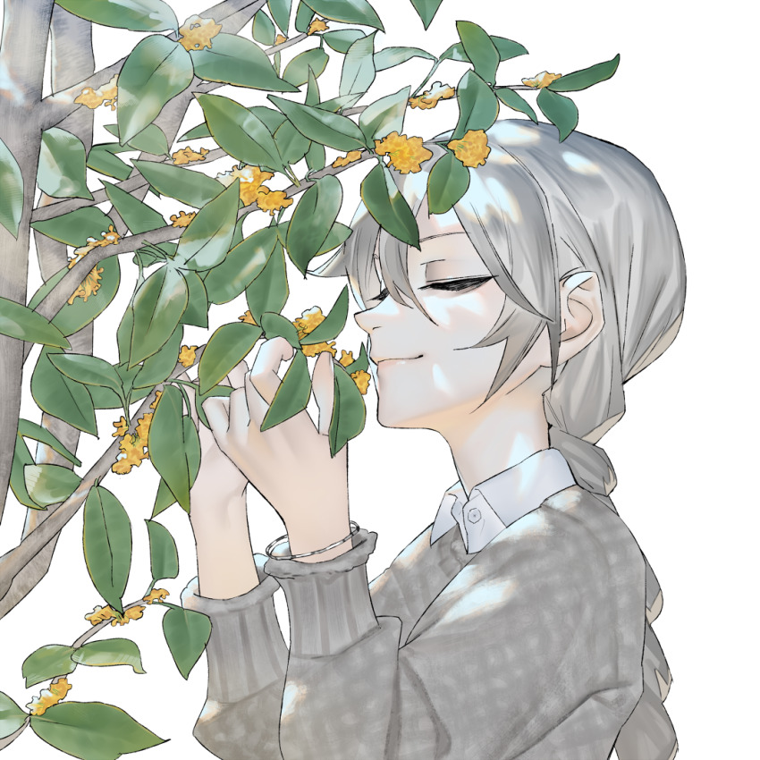 1girl alternate_costume bracelet braid braided_ponytail branch closed_eyes closed_mouth collared_shirt dappled_sunlight flower from_side grey_hair grey_sweater hands_up jewelry leaf long_hair long_sleeves mi8pq plant_request sekka_yufu shirt simple_background smelling smelling_flower smile solo sunlight sweater tree upper_body utau white_background yellow_flower