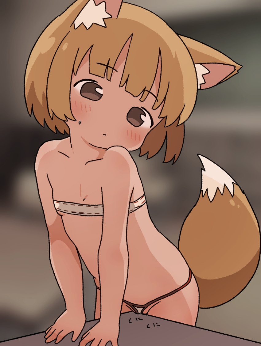 1girl absurdres animal_ears arm_support blush bra brown_eyes brown_hair collarbone crotch_rub flat_chest fox_ears fox_girl fox_tail highres irohiza leaning_forward masturbation navel original panties short_hair standing strapless strapless_bra sweat table table_humping tail underwear white_bra white_panties