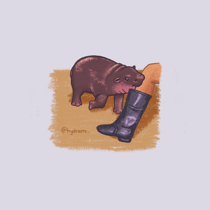 1other animal_focus biting black_eyes border commentary english_commentary grey_border highres hippopotamus hydraete legs moo_deng real_life shadow twitter_username walking
