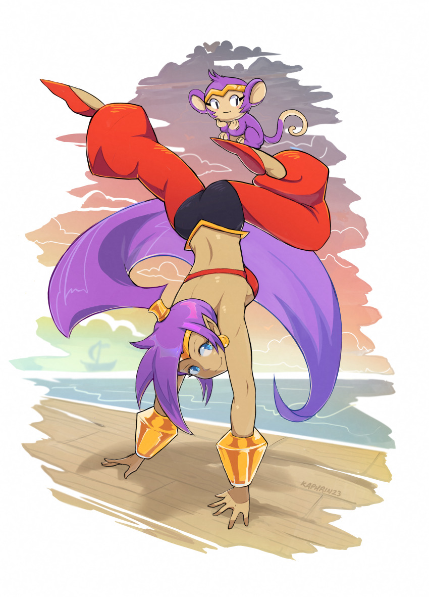 1girl absurdres arabian_clothes big_hair blue_eyes dark-skinned_female dark_skin earrings forehead_jewel genie harem_pants highres hoop_earrings jewelry kaphrin long_hair looking_at_viewer pants pointy_ears pointy_footwear purple_hair shantae shantae_(series) very_long_hair
