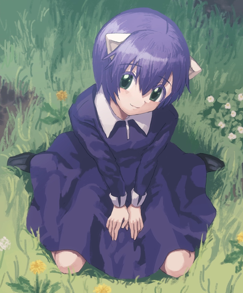 1girl absurdres between_legs black_shoes closed_mouth collar collared_dress donatsupan dress elfen_lied flat_chest from_above full_body grass green_eyes hair_between_eyes hand_between_legs highres horns loafers long_dress long_sleeves looking_at_viewer nana_(elfen_lied) on_grass outdoors purple_dress purple_hair shoes short_hair sitting small_horns smile solo straight_hair very_short_hair wariza white_collar white_horns white_sleeve_cuffs