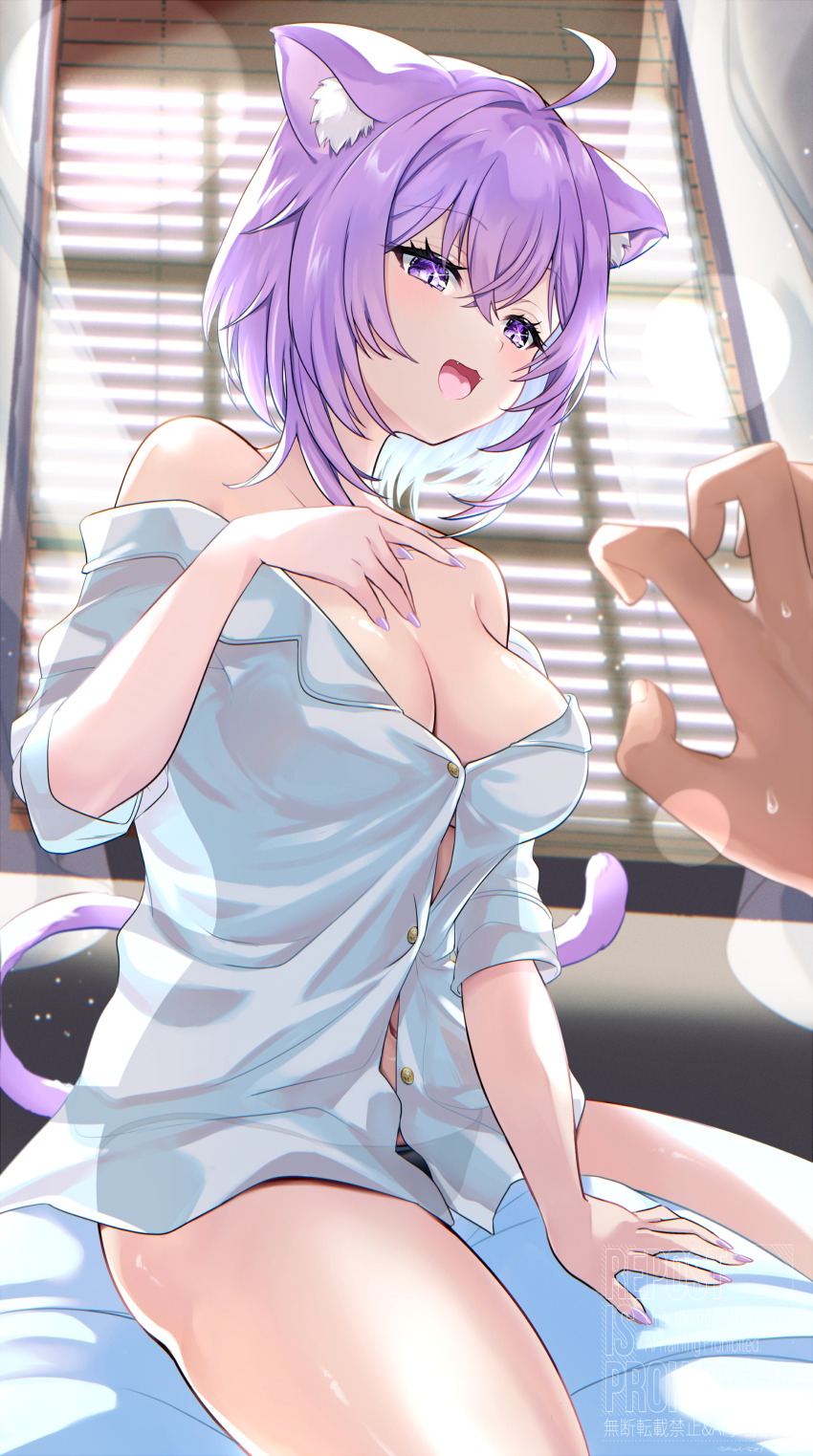 1girl 1other :d absurdres ahoge animal_ears black_panties blurry blurry_background breasts button_gap cat_ears cat_girl cat_tail cleavage crossed_bangs day double-parted_bangs fangs hair_between_eyes highres hololive indoors kudoukudokudo looking_at_viewer nail_polish navel nekomata_okayu no_bra no_pants off_shoulder open_mouth panties pov pov_hands purple_eyes purple_hair purple_nails see-through_silhouette shirt short_hair sitting smile solo_focus tail thigh_focus thighs three-quarter_sleeves underwear virtual_youtuber white_shirt