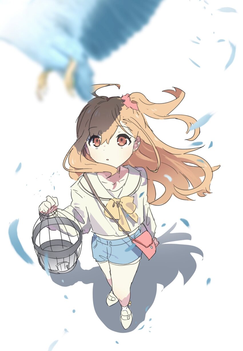 1girl ahoge bird birdcage blue_bird blue_shorts blurry cage churhami commentary_request depth_of_field feathers hair_ornament hair_scrunchie highres holding holding_cage ikizulive!_love_live!_bluebird long_sleeves looking_up love_live! neck_ribbon orange_eyes orange_hair red_scrunchie ribbon sailor_collar scrunchie shirt shorts side_ponytail solo takahashi_polka white_background white_sailor_collar white_shirt yellow_ribbon