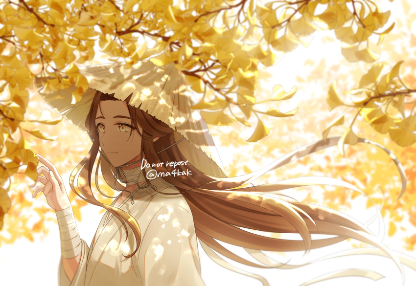 1boy arm_at_side backlighting bandaged_neck bandaged_wrist bandages bishounen blurry blurry_background branch brown_hair chin_strap chinese_clothes closed_mouth dappled_sunlight day fingernails floating_hair forest ginkgo_leaf ginkgo_tree hair_over_shoulder half-closed_eyes hand_up hanfu happy hat leaf light_smile limited_palette long_hair male_focus nature outdoors parted_bangs rice_hat shade ssk_(yoiosushi) straight_hair sunlight three_quarter_profile tianguan_cifu tree tree_shade tsurime twitter_username upper_body very_long_hair white_hanfu white_theme wispy_bangs xie_lian yellow_eyes yellow_leaves yellow_theme