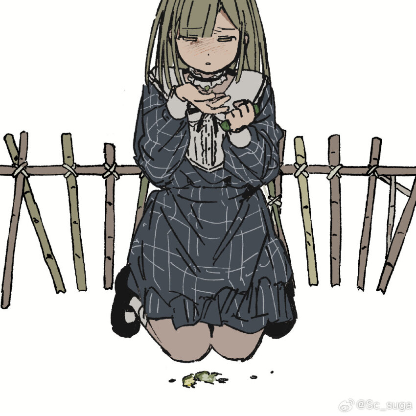 1girl bang_dream! bang_dream!_it&#039;s_mygo!!!!! black_shoes blue_dress choker commentary_request cucumber dress food frilled_choker frills green_hair half-closed_eyes hands_up holding holding_food holding_vegetable kneeling long_hair long_sleeves looking_down plaid_clothes plaid_dress sc_suga shoes sidelocks simple_background solo trellis vegetable wakaba_mutsumi watermark weibo_watermark white_background