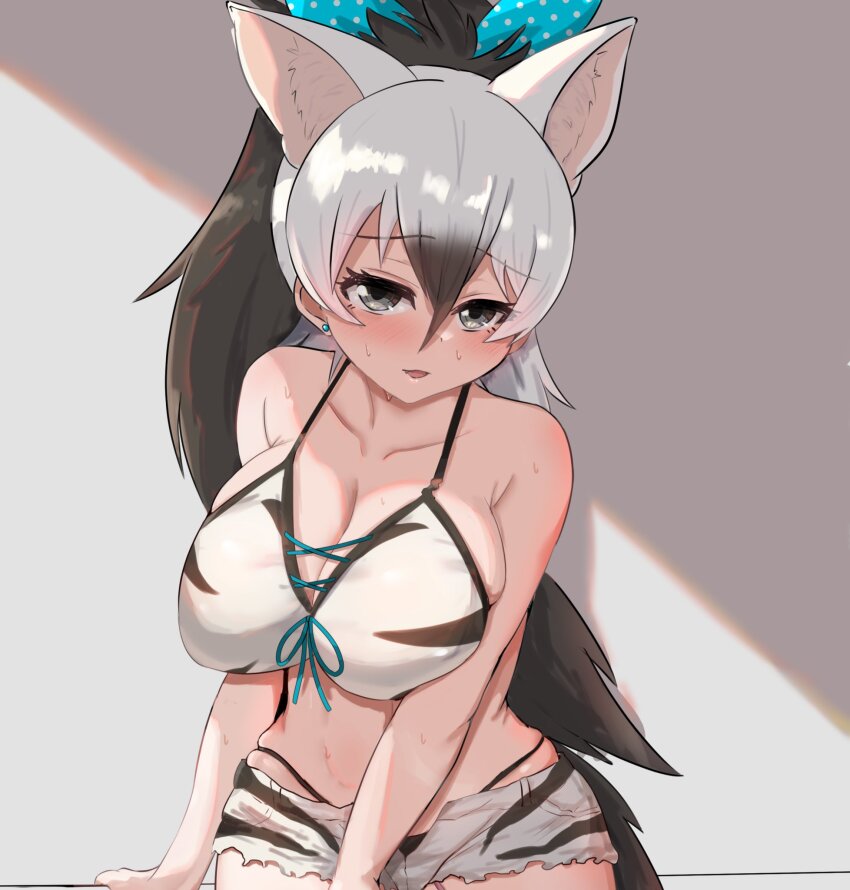1girl aardwolf_(kemono_friends) akaisuto animal_ears animal_print bare_shoulders bikini black_hair blush breasts cleavage extra_ears hair_between_eyes highres kemono_friends kemono_friends_2 large_breasts long_hair looking_at_viewer multicolored_hair open_mouth ponytail shorts smile solo swimsuit tail two-tone_hair white_hair