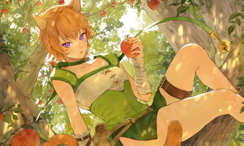 1girl absurdres animal_ears apple bell belt cat_ears cat_girl cat_tail choker closed_mouth collar commission eyelashes facial_mark fire_emblem fire_emblem:_path_of_radiance fire_emblem:_radiant_dawn food fruit green_choker green_collar green_shorts hair_between_eyes highres holding holding_food holding_fruit in_tree leaf lethe_(fire_emblem) looking_at_viewer nintendo o-ring o-ring_belt orange_hair orange_tail purple_eyes short_hair shorts side_slit side_slit_shorts sitting sitting_in_tree skeb_commission tail thigh_belt thigh_strap thighs tree wawatiku whisker_markings wrist_wrap