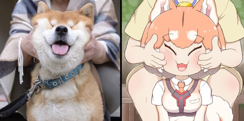 1girl animal animal_ears breasts cheek_press cheek_squash collar creature_and_personification curled_tail dog dog_(shiba_inu)_(kemono_friends) dog_ears dog_girl dog_tail grabbing_another&#039;s_face hands_on_another&#039;s_cheeks hands_on_another&#039;s_face head_grab highres holding holding_animal holding_dog kemono_friends large_breasts nanachii_(nanatidayo) personification photo-referenced photo_inset reference_inset shiba_inu smile tail
