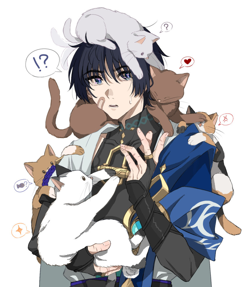 !? 1boy ? anger_vein animal animal_on_head animal_on_shoulder armor bandaid bandaid_on_face black_bodysuit black_bridal_gauntlets black_hair blue_cape blue_eyes blue_gemstone blunt_ends bodysuit bridal_gauntlets brown_cat cape cat cat_on_head cat_on_shoulder covered_collarbone dintoge fingernails gem genshin_impact gold gold_ring hand_up heart highres holding holding_animal holding_cat japanese_armor japanese_clothes kimono kote kurokote looking_at_viewer male_focus mandarin_collar middle_ring on_head open_clothes open_kimono open_mouth pom_pom_(clothes) purple_pupils purple_rope rope scaramouche_(genshin_impact) short_sleeves shoulder_peek solo spoken_anger_vein spoken_animal spoken_heart spoken_interrobang spoken_question_mark spoken_star star_(symbol) sweatdrop teeth too_many too_many_cats upper_body vision_(genshin_impact) wanderer_(genshin_impact) white_background white_cat white_kimono white_sleeves white_trim wispy_bangs