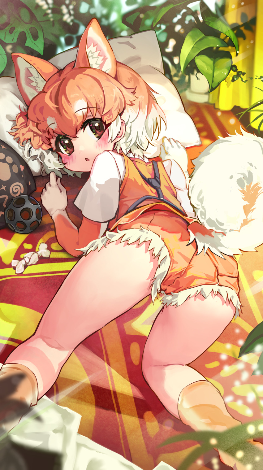 1girl absurdres all_fours animal_ear_fluff animal_ears bare_legs blush brown_eyes commentary dog_(shiba_inu)_(kemono_friends) dog_ears dog_girl dog_tail elbow_gloves extra_ears feet_out_of_frame from_behind gloves hair_between_eyes harness highres kemono_friends looking_at_viewer looking_back melaton multicolored_hair open_mouth orange_hair orange_shorts orange_socks orange_vest pillow plant shirt short_hair short_sleeves shorts socks solo tail top-down_bottom-up two-tone_hair vest white_hair white_shirt
