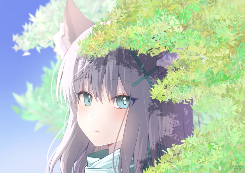 1girl animal_ear_fluff animal_ears aqua_scarf aro_1801 blue_archive blue_eyes blue_sky blush commentary cross_hair_ornament day gradient_sky grey_hair hair_between_eyes hair_ornament highres leaf long_hair looking_at_viewer mismatched_pupils outdoors portrait pout scarf shiroko_(blue_archive) sidelocks sky solo tree wolf_ears