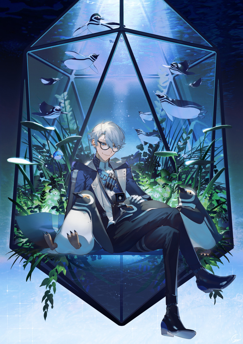 1boy animal animal_on_lap belt bird black-framed_eyewear black_pants black_shoes black_socks blue_background blue_belt blue_eyes blue_jacket camera crossed_legs curtained_hair earrings fish full_body glasses gloves gradient_background grass hair_between_eyes herbarium highres jacket jewelry lanyard lapels loafers looking_at_animal male_focus notched_lapels on_lap open_clothes open_jacket original pants penguin petting rezia shirt shoes short_hair shoulder_belt sitting smile socks solo stud_earrings test_tube twin-lens_reflex_camera water white_gloves white_hair white_shirt