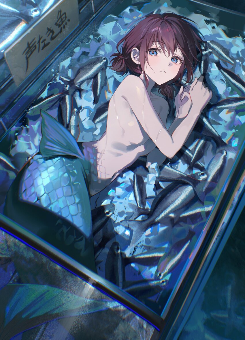 1girl absurdres blue_eyes brown_hair commentary freezer girls_band_cry hair_between_eyes highres iseri_nina looking_at_viewer low_twintails mermaid monster_girl nude open_mouth pong_(pong_o0) short_hair short_twintails solo translated twintails
