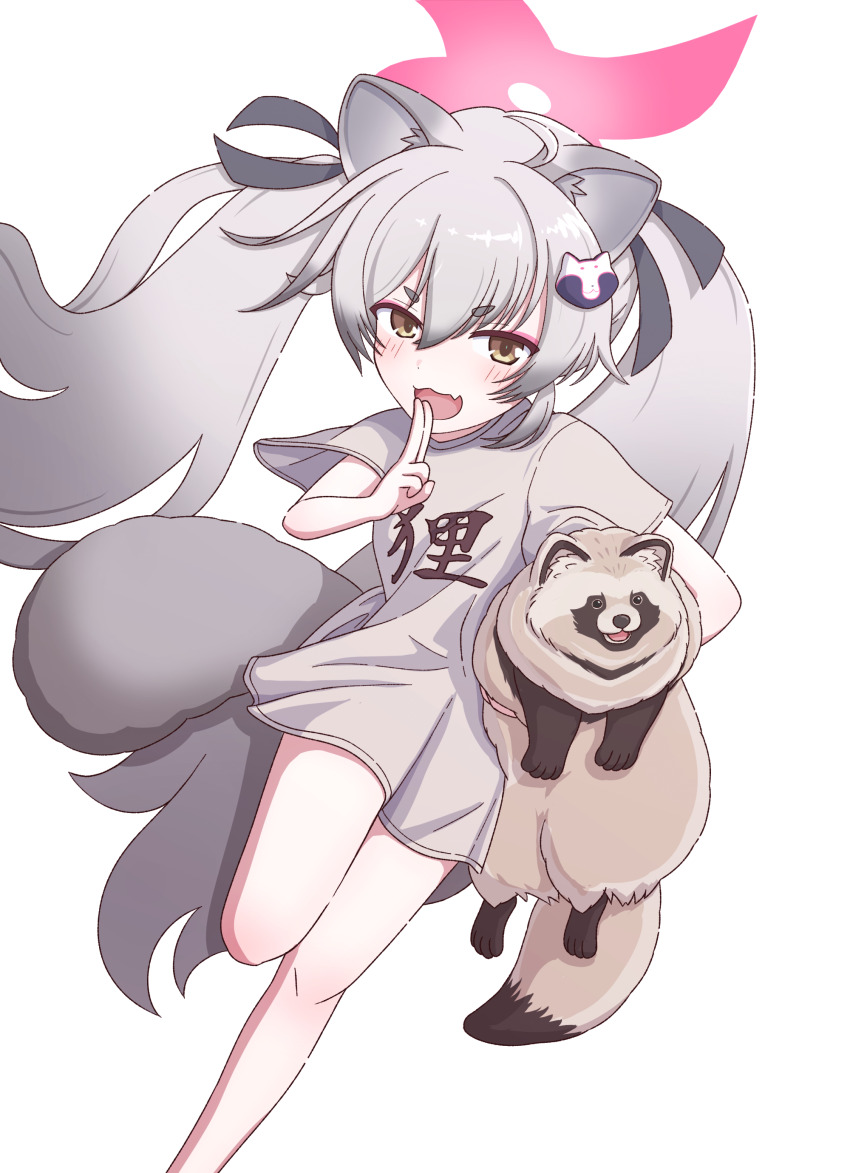 1girl :d absurdres alternate_costume animal_ear_fluff animal_ears black_ribbon blue_archive blush carrying carrying_under_arm commentary dutch_angle eyeshadow fang fighting_stance floating_hair foot_out_of_frame grey_hair grey_shirt hair_between_eyes hair_ribbon halo hand_up highres kuji-in long_hair looking_at_viewer makeup michiru_(blue_archive) mugisepa ninja open_mouth pink_halo raccoon_ears raccoon_girl raccoon_hair_ornament raccoon_tail ribbon shirt short_eyebrows short_sleeves simple_background skin_fang smile solo standing standing_on_one_leg t-shirt tail tanuki thick_eyebrows twintails very_long_hair white_background yellow_eyes