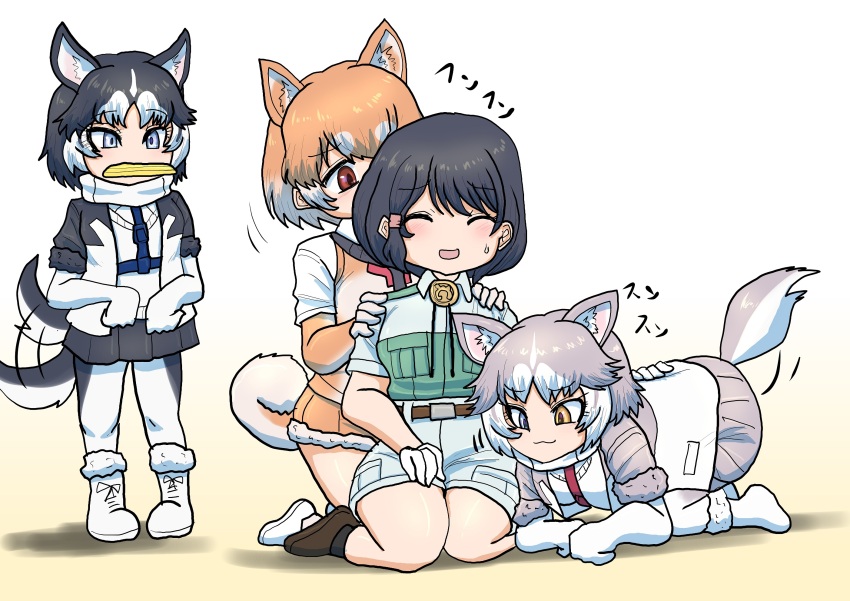 3girls 4girls :3 afterimage animal_ears black_fur black_hair black_jacket black_pantyhose black_skirt blue_eyes blush boots brown_gloves brown_hair brown_shorts brown_vest captain_(kemono_friends) closed_eyes dog_(mixed_breed)_(kemono_friends) dog_(shiba_inu)_(kemono_friends) dog_ears dog_girl dog_tail elbow_gloves extra_ears frisbee fur_trim gloves green_shirt grey_hair grey_jacket grey_pantyhose grey_shorts grey_skirt hair_between_eyes harness heterochromia highres jacket kemono_friends kemono_friends_3 multicolored_hair multicolored_jacket multiple_girls open_clothes open_jacket panties pantyhose pleated_skirt safari_jacket scarf seiza shinkaisoku shirt shoes short_hair short_sleeves shorts siberian_husky_(kemono_friends) sidelocks sitting skirt smelling sweatdrop sweater t-shirt tail tail_wagging two-tone_hair two-tone_jacket two-tone_pantyhose underwear vest white_boots white_fur white_gloves white_hair white_jacket white_panties white_scarf white_shirt white_shoes white_sweater yellow_eyes
