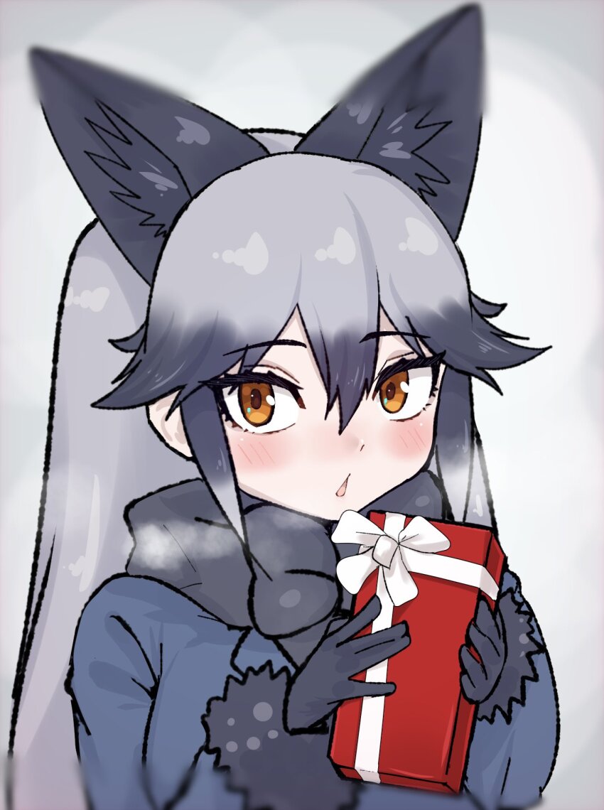 1girl :&lt; animal_ears aramaru black_bow black_fur black_gloves blue_jacket blush bow box box_of_chocolates cowboy_shot extra_ears fox_ears fox_girl fur_trim gloves grey_hair hair_between_eyes highres jacket kemono_friends long_hair multicolored_hair orange_eyes sidelocks silver_fox_(kemono_friends) solo