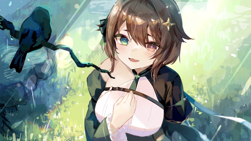 absurdres bird blush braid branch breasts brown_eyes brown_hair chest_belt cross-shaped_pupils detached_sleeves dress from_above grass green_dress green_eyes hair_flaps hair_ornament heterochromia highres indie_virtual_youtuber juliet_sleeves large_breasts light_particles light_rays long_sleeves medium_hair meica_(vtuber) meica_(vtuber)_(1st_costume) mismatched_pupils outdoors puffy_sleeves shirt single-shoulder_shirt single_braid smile sprout-shaped_pupils star_(symbol) star_hair_ornament sunbeam sunlight symbol-shaped_pupils tamago_nezumi virtual_youtuber white_shirt