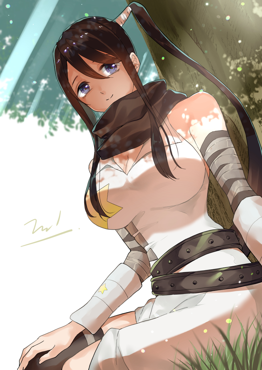 1girl bandaged_arm bandages bare_shoulders black_hair blue_eyes breasts cleavage high_ponytail highres large_breasts long_hair looking_to_the_side nakatsukasa_tsubaki nambu_01 ninja outdoors ponytail signature sitting solo soul_eater star_(symbol) tree under_tree