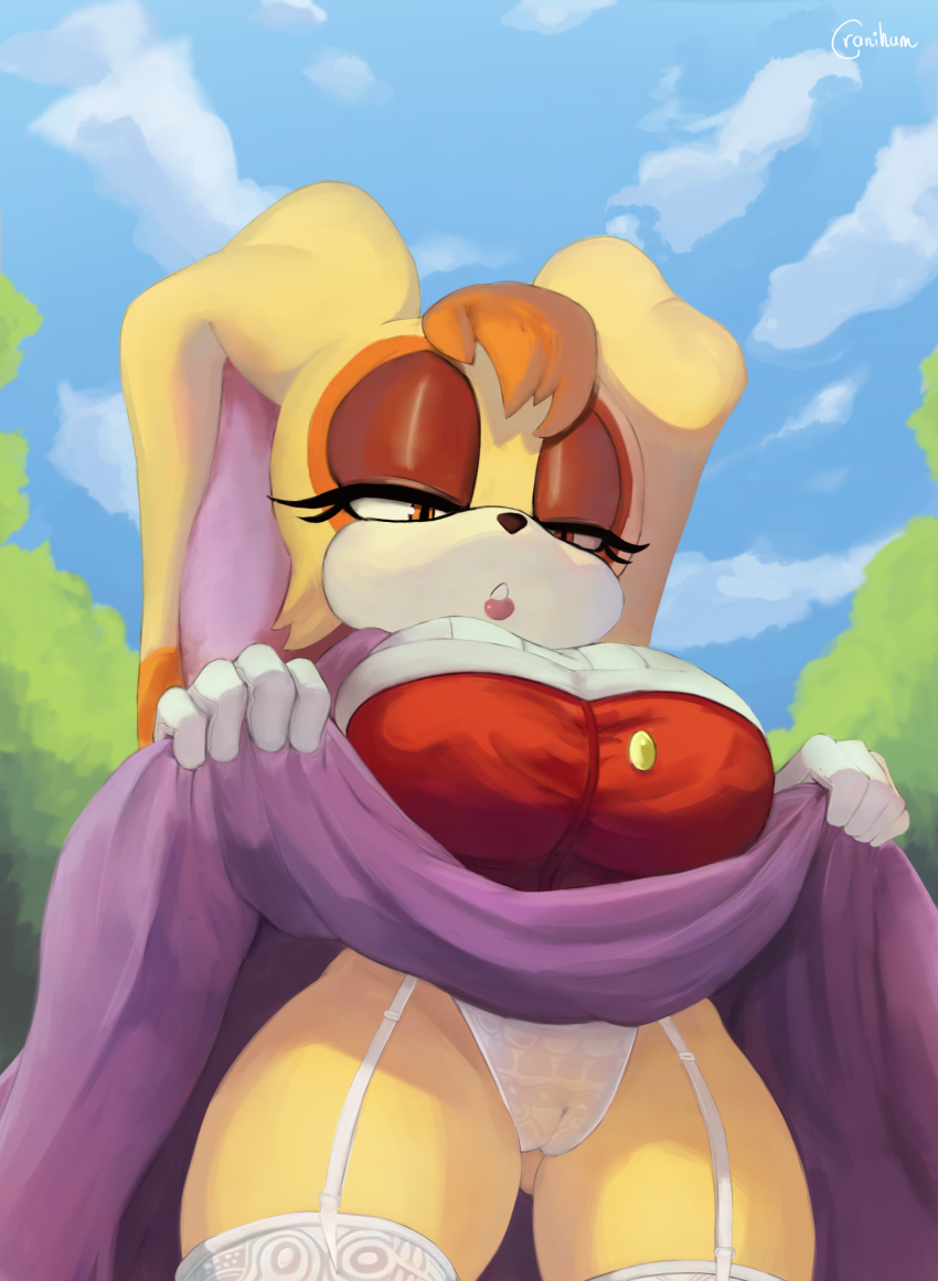 1girl absurdres animal_ears artist_name blue_sky body_fur breasts brown_eyes cameltoe clothes_lift cloud cowboy_shot cranihum day eyelashes female_focus from_below furry furry_female garter_straps half-closed_eyes hands_up highres huge_breasts lifting_own_clothes looking_at_viewer looking_down mature_female naughty_face outdoors panties parted_lips pov purple_skirt rabbit_ears rabbit_girl red_shirt sega shirt shortstack skirt skirt_lift sky solo sonic_(series) teeth thighhighs thighs two-tone_shirt underwear vanilla_the_rabbit white_panties white_shirt white_thighhighs yellow_fur