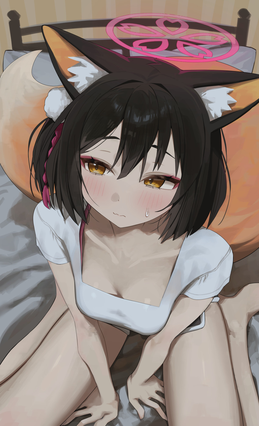 1girl absurdres animal_ear_fluff animal_ears averting_eyes black_shorts blue_archive blush breasts brown_hair cleavage closed_mouth collarbone colored_inner_animal_ears commentary_request dolphin_shorts fox_ears fox_girl fox_tail hair_ornament halo highres izuna_(blue_archive) looking_to_the_side medium_breasts one_side_up pink_halo pom_pom_(clothes) pom_pom_hair_ornament rope shimenawa shirt short_hair short_shorts short_sleeves shorts sitting solo syhan tail thighs wariza white_shirt yellow_eyes yellow_tail
