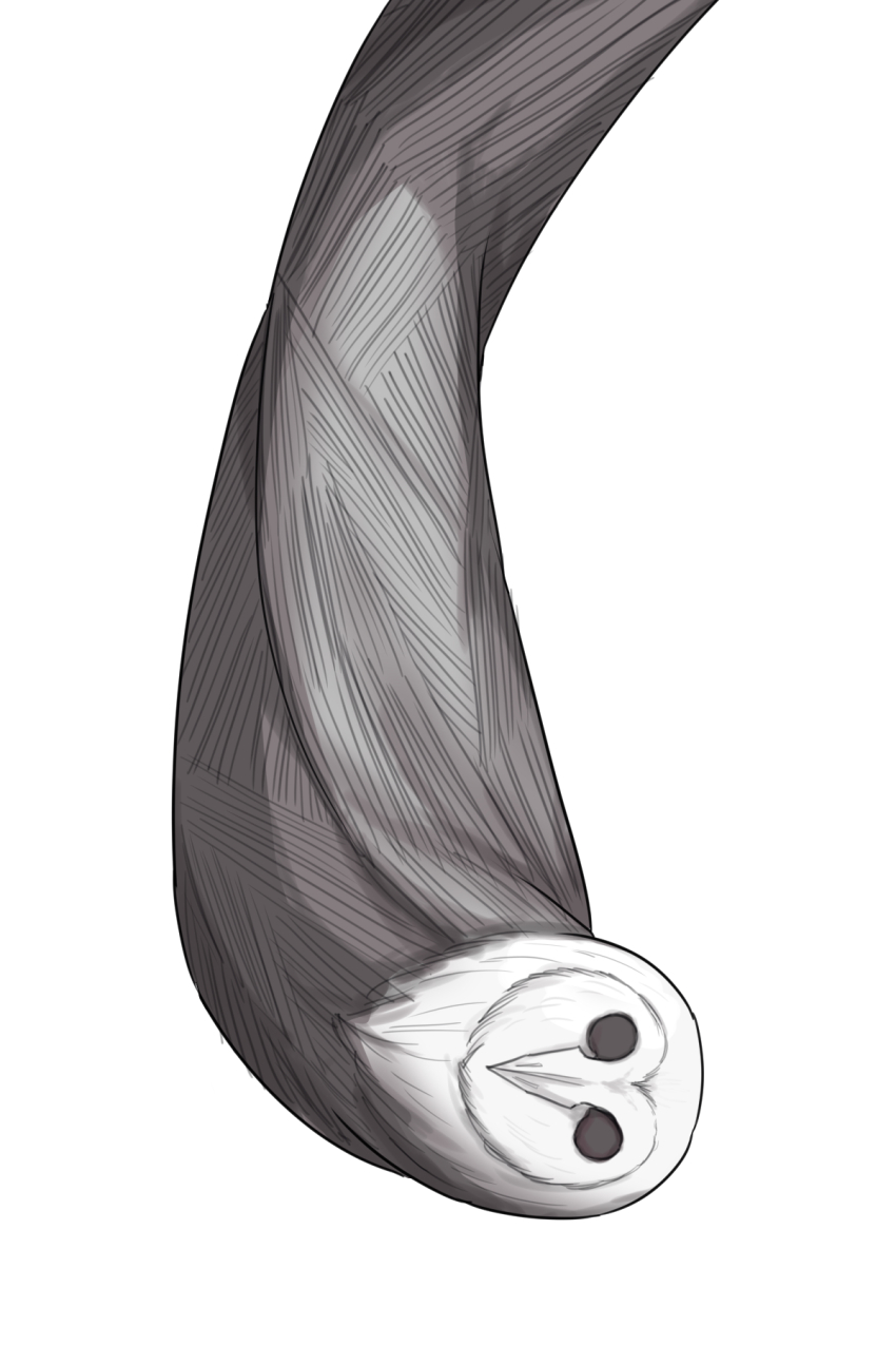 1boy animal_head bird black_cape black_souls black_souls_2 cape head_tilt highres lorde_(black_souls) male_focus owl rabbit_king solo upside-down
