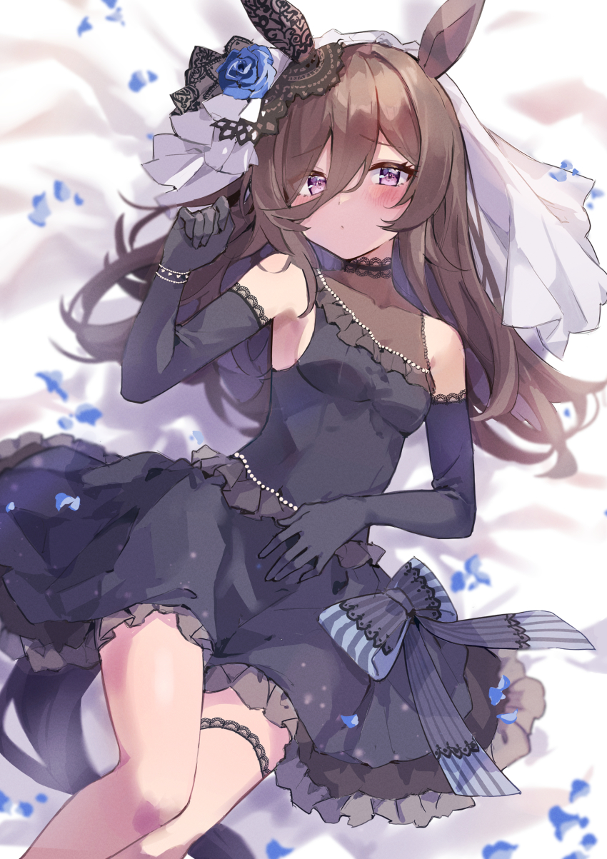 1girl absurdres animal_ears asymmetrical_bangs bare_shoulders bed_sheet black_dress black_gloves blue_flower blue_rose blush breasts bride brown_hair cleavage closed_mouth commentary_request cosplay cowboy_shot curren_chan_(sakutsuki_ma_cherie)_(umamusume) curren_chan_(umamusume) curren_chan_(umamusume)_(cosplay) dress ear_covers elbow_gloves flipped_hair flower frilled_dress frills gloves hair_between_eyes hair_over_one_eye highres horse_ears horse_girl horse_tail long_bangs long_hair looking_at_viewer lying mola_mola on_back parted_lips petals purple_eyes rice_shower_(umamusume) rose rose_petals see-through_cleavage see-through_clothes see-through_veil short_dress single_ear_cover small_breasts solo spiked_hair tail thigh_strap tight_clothes umamusume veil white_veil