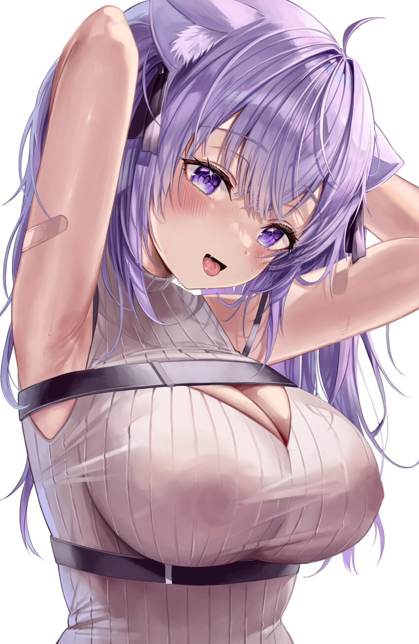 1girl ahoge animal_ear_fluff animal_ears armpits arms_behind_head arms_up bandaid bandaid_on_arm bare_shoulders blush breasts cat_ears cat_girl chest_harness chest_strap cleavage cleavage_cutout clothing_cutout covered_erect_nipples framed_breasts hair_between_eyes hair_ribbon harness highres hololive large_breasts long_hair looking_at_viewer nekomata_okayu nekomata_okayu_(8th_costume) official_alternate_costume open_mouth purple_eyes purple_hair ribbed_sweater ribbon sleeveless sleeveless_sweater sleeveless_turtleneck_sweater smile solo sweat sweater tongue tongue_out virtual_youtuber white_sweater ya_ta