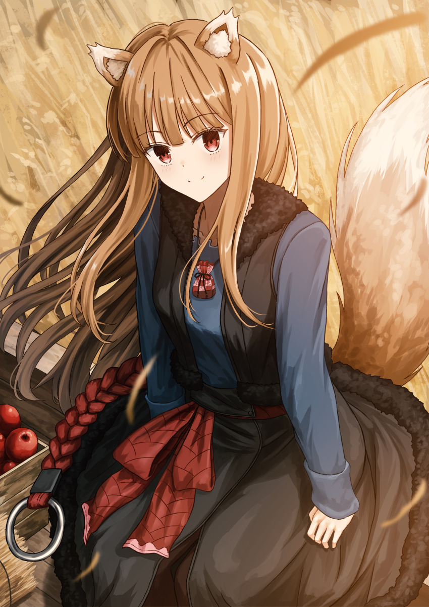 1girl animal_ear_fluff animal_ears apple black_skirt black_vest blue_shirt brown_hair closed_mouth commentary_request dot_nose food from_above fruit fur-trimmed_skirt fur-trimmed_vest fur_trim highres holo long_hair long_sleeves looking_at_viewer morebi outdoors pouch red_eyes shirt sitting skirt smile solo spice_and_wolf tail vest wagon wheat wheat_field wolf_ears wolf_girl wolf_tail