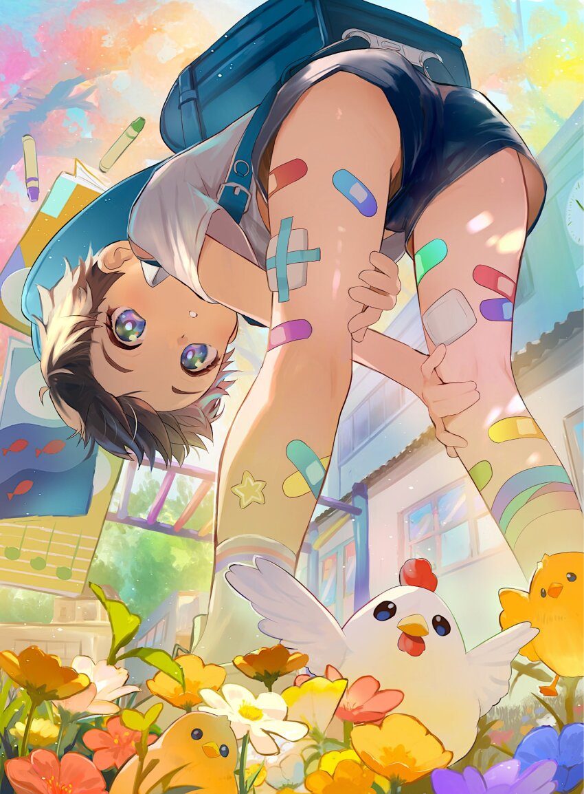 1boy baby_animal backpack bag bandaid bandaid_on_leg bent_over bird brown_hair chick chicken cocolo_(co_co_lo) day flower from_below highres looking_at_viewer male_focus original outdoors randoseru shirt short_hair short_shorts shorts shota solo standing too_many_bandaids upshorts white_shirt
