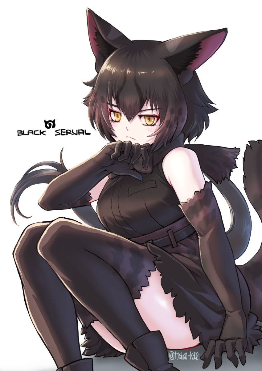 1girl animal_ears bare_shoulders belt black_belt black_bow black_bowtie black_gloves black_hair black_serval_(kemono_friends) black_shirt black_skirt black_thighhighs bow bowtie cat_ears cat_girl cat_tail elbow_gloves frilled_skirt frilled_thighhighs frills gloves hair_between_eyes hair_bow high-waist_skirt highres japari_symbol kemono_friends kosai_takayuki long_hair ponytail shirt sidelocks sitting skirt sleeveless solo tail thighhighs yellow_eyes zettai_ryouiki