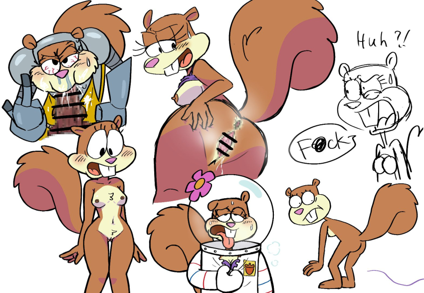 angry anus armor ass ass_focus back bare_legs barefoot blush bra breasts brown_fur brown_hair buck_teeth censored cleft_of_venus clitoris completely_nude destroyed_clothing embarrassed eyelashes feet flower groin helmet hot huge_ass humming knight legs medium_breasts middle_finger minoru_(nezumiisya) nervous nickelodeon nude oral paramount_pictures penis perineum presenting_anus presenting_pussy pussy sandy_cheeks small_nipples snot space_suit speechless spongebob_squarepants_(series) spread_anus spread_pussy squirrel surprised sweat sweaty_clothes tail teeth thread tired_eyes tomboy tongue tongue_out underwear