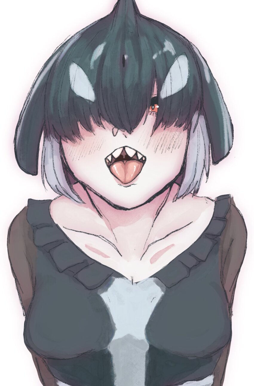 1girl black_dress black_hair blowhole blush collar collarbone dolphin_girl dorsal_fin dress fins frilled_collar frills hair_over_eyes head_fins highres kemono_friends long_sleeves looking_at_viewer multicolored_hair open_mouth orange_eyes orca_(kemono_friends) r10ma see-through_clothes see-through_sleeves short_hair solo teeth tongue tongue_out two-tone_dress two-tone_hair upper_body white_dress white_hair