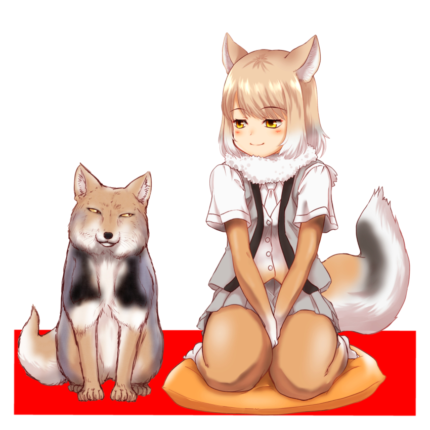 1girl absurdres animal animal_ears between_legs blush bodystocking brown_hair buttons closed_mouth creature_and_personification fox fox_ears fox_girl fox_tail full_body fur_collar hakumaiya hand_between_legs highres kemono_friends layered_sleeves light_brown_hair long_sleeves looking_at_viewer medium_hair microskirt multicolored_hair necktie open_clothes open_vest own_hands_together parted_bangs personification pillow pleated_skirt seiza shirt short_over_long_sleeves short_sleeves sitting skirt smile tail tibetan_fox_(kemono_friends) tibetan_sand_fox v_arms vest white_hair yellow_eyes