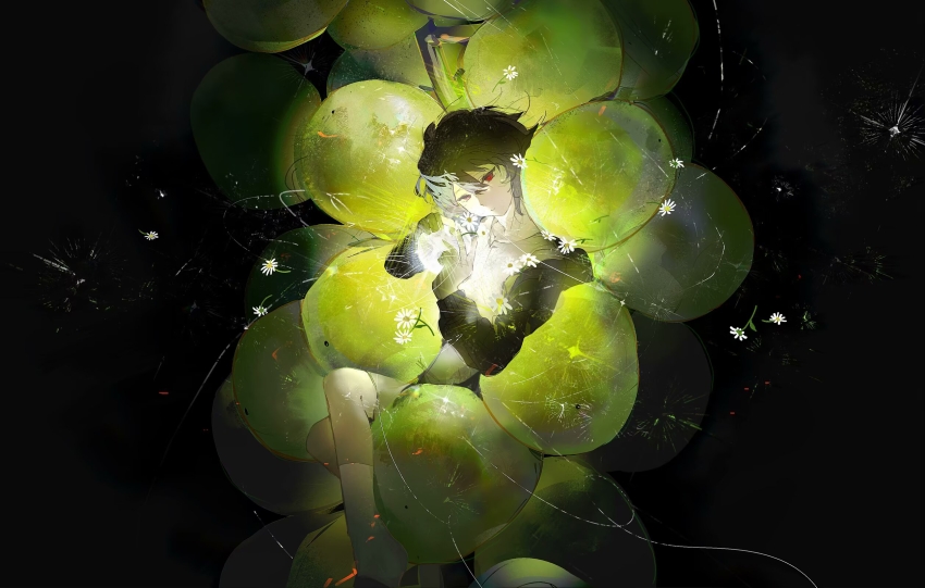 1boy black_hair black_jacket chinese_commentary commentary_request daisy_(flower) flower food fruit grapes grey_shorts hair_between_eyes heibaihuabing highres isoi_haruki jacket kneehighs long_sleeves male_focus open_clothes open_jacket red_eyes saibou_shinkyoku shirt short_hair shorts socks solo white_shirt white_socks