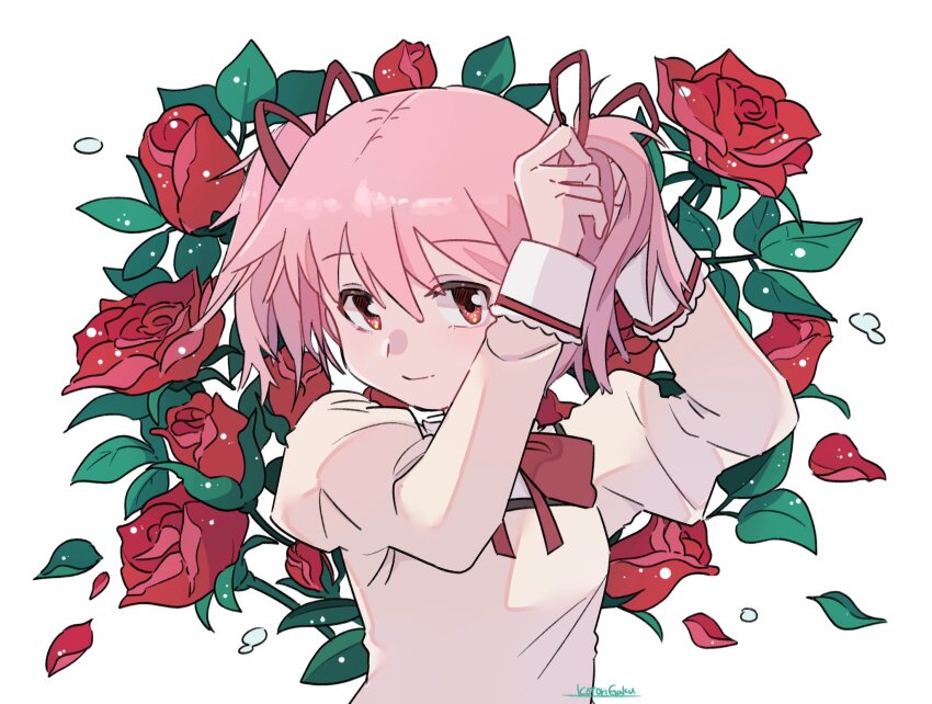 1girl adjusting_hair bud closed_mouth dew_drop facing_viewer flat_chest floral_background flower hair_between_eyes hair_ribbon half-closed_eyes hands_up highres juliet_sleeves kaname_madoka kotori_gaku leaf light_particles light_smile long_sleeves mahou_shoujo_madoka_magica mahou_shoujo_madoka_magica_(anime) mitakihara_school_uniform neck_ribbon petals pink_eyes pink_hair puffy_sleeves red_flower red_ribbon red_rose ribbon rose rose_background rose_petals school_uniform shirt short_twintails sideways_glance simple_background solo twintails upper_body water_drop white_background yellow_shirt