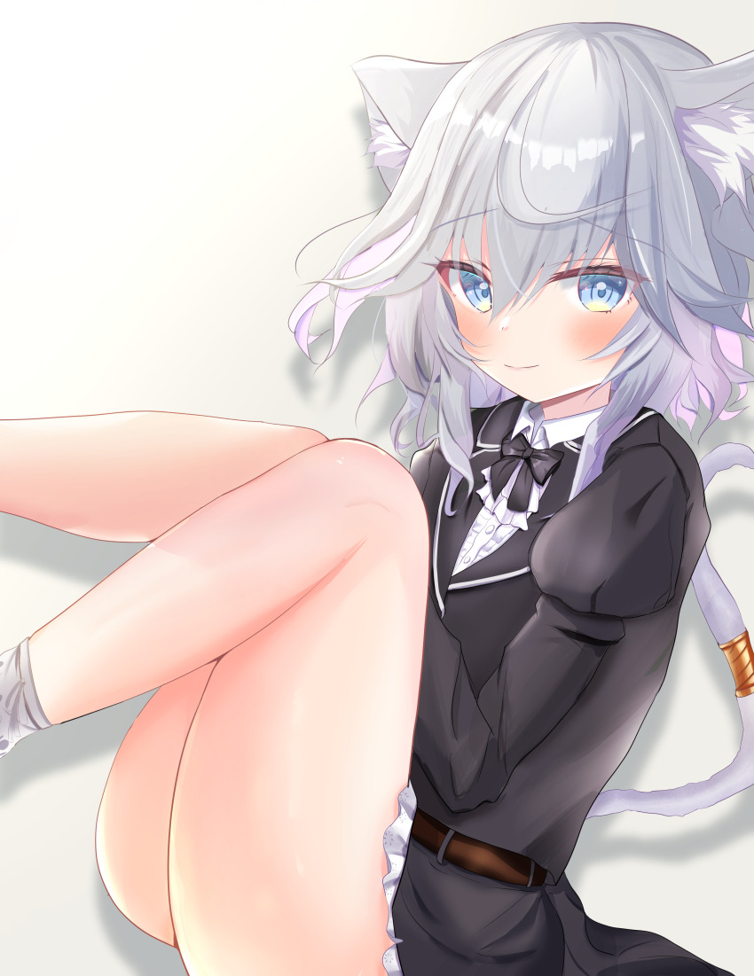 1girl absurdres animal_ear_fluff animal_ears black_bow black_bowtie black_jacket black_skirt blue_eyes blush bow bowtie cat_ears cat_girl cat_tail closed_mouth collared_shirt colored_inner_hair commentary drop_shadow feet_out_of_frame frilled_skirt frills grey_hair hair_between_eyes highres jacket juliet_sleeves knees_together_feet_apart knees_up long_sleeves looking_at_viewer mame4ba2525 medium_hair miniskirt multicolored_hair pink_hair puffy_sleeves shirt simple_background sitting skirt smile solo sophia_noscova tail tail_raised thighs unravel_trigger white_background white_shirt