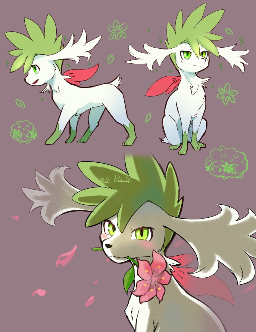 flower flower_in_mouth gen_4_pokemon green_eyes green_fur grey_background highres legendary_pokemon multiple_views mythical_pokemon nintendo no_humans o_hitu_g pink_flower pokemon pokemon_(creature) shaymin shaymin_(sky) simple_background two-tone_fur white_fur