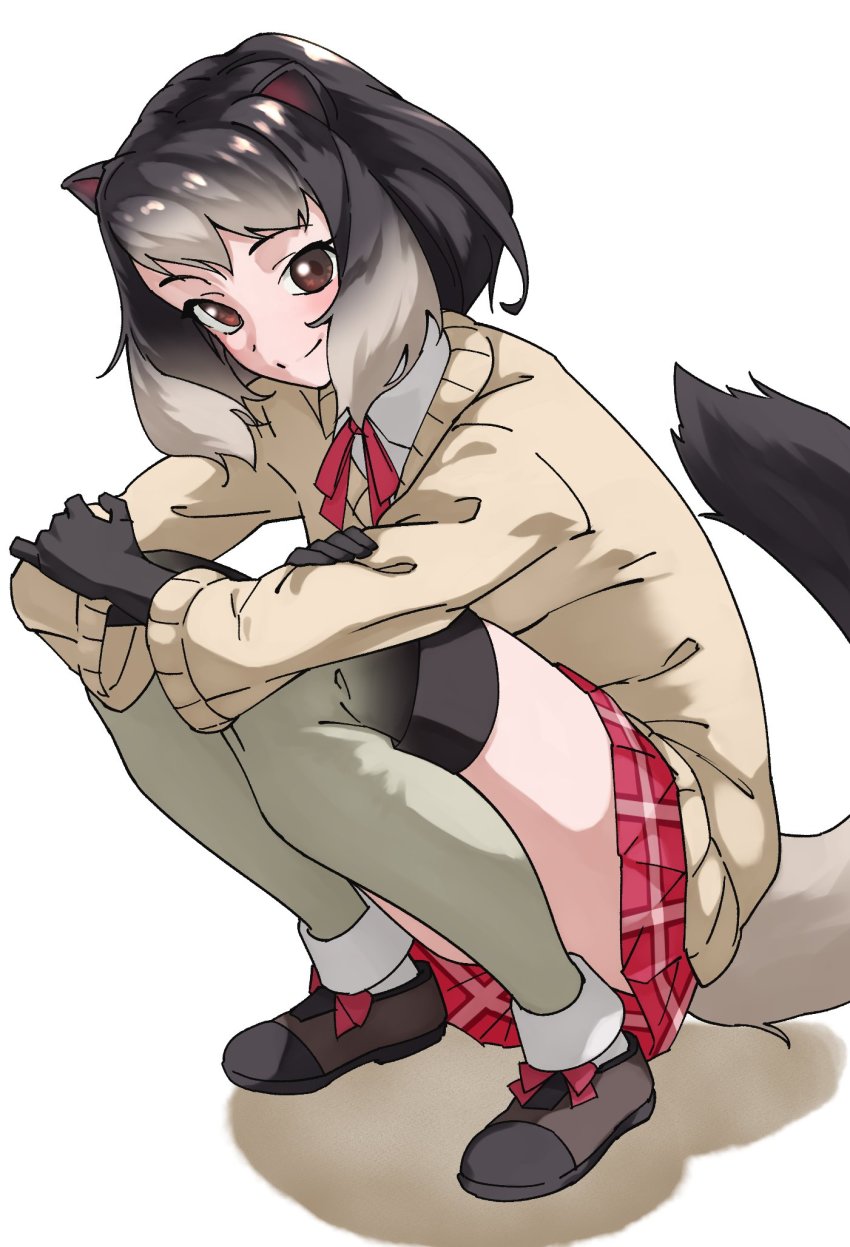 1girl alpine_marmot_(kemono_friends) animal_ears beige_jacket black_gloves black_hair brown_eyes commentary full_body gloves gradient_hair grey_hair head_tilt highres kemono_friends long_sleeves looking_at_viewer medium_hair miniskirt multicolored_hair plaid_clothes plaid_skirt red_skirt simple_background skirt smile solo split_mouth squatting tail tanabe_(fueisei) thighhighs white_background