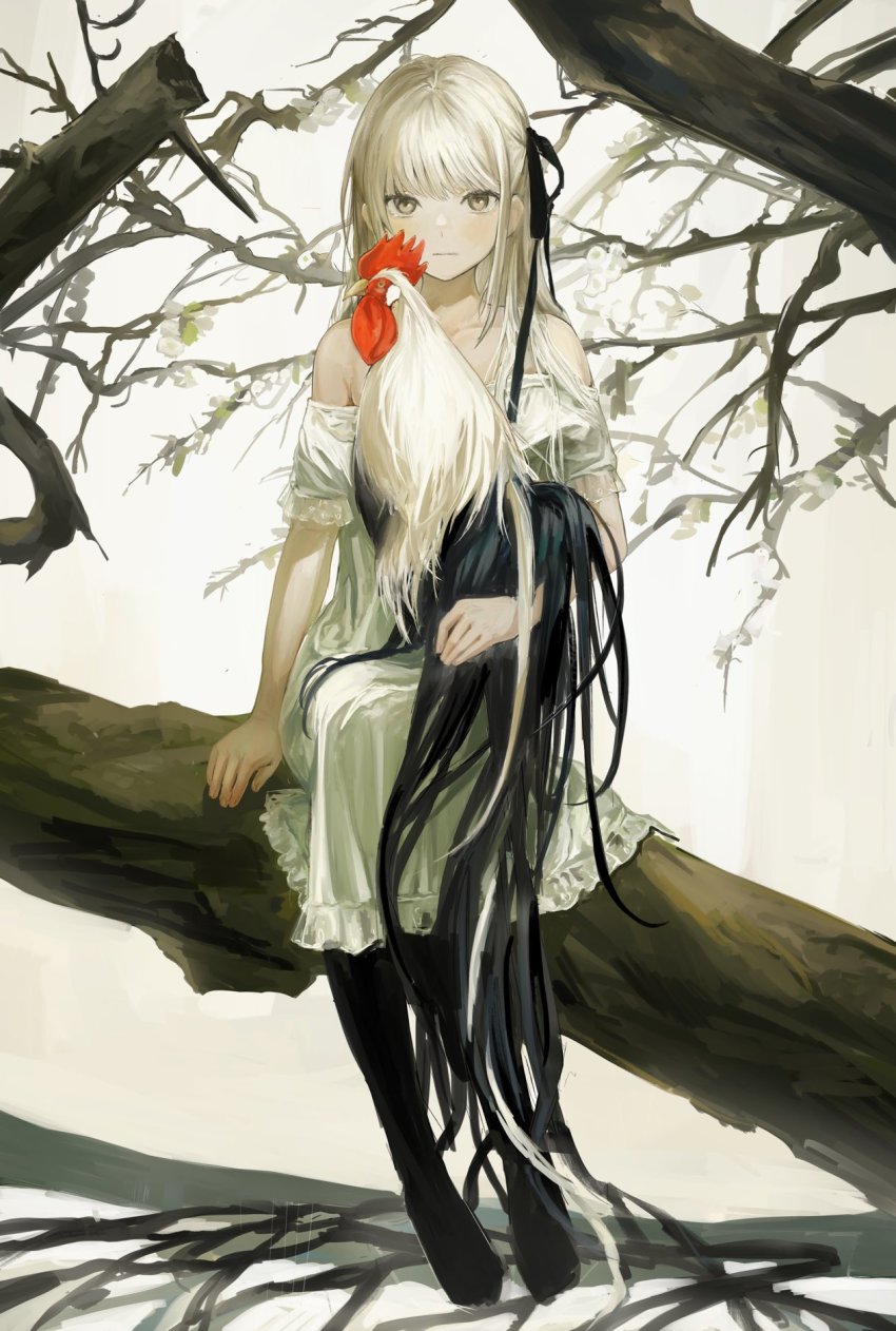 1girl animal animal_on_lap bare_shoulders bird bird_on_lap black_pantyhose black_ribbon blonde_hair branch brown_eyes chicken collarbone dress expressionless frilled_dress frills full_body funabashi_(iwzry) hair_ribbon highres in_tree long_hair looking_at_viewer off-shoulder_dress off_shoulder on_lap original pantyhose ribbon rooster sitting sitting_in_tree solo tree white_background white_dress