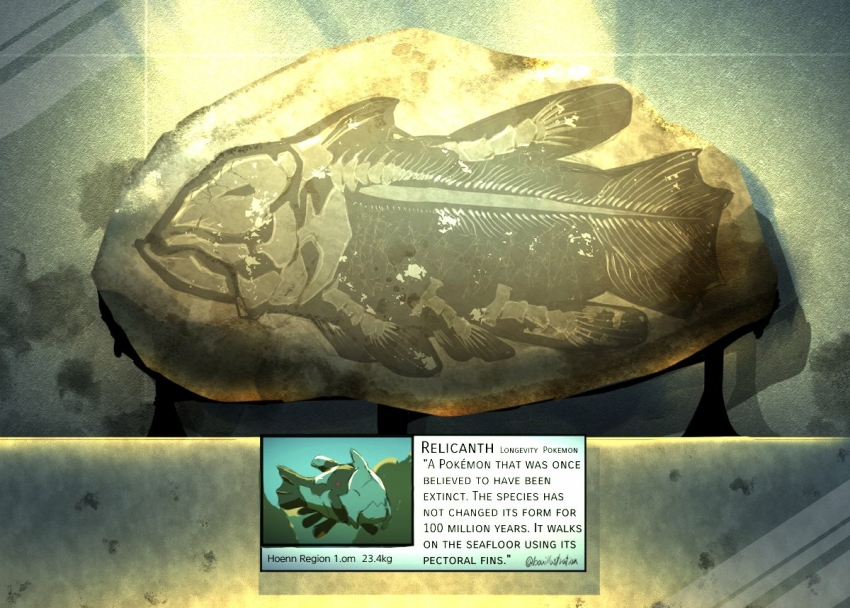 bo_(bouillustration) character_name creatures_(company) english_text fish fossil game_freak gen_3_pokemon nintendo no_humans pokemon pokemon_(creature) relicanth rock