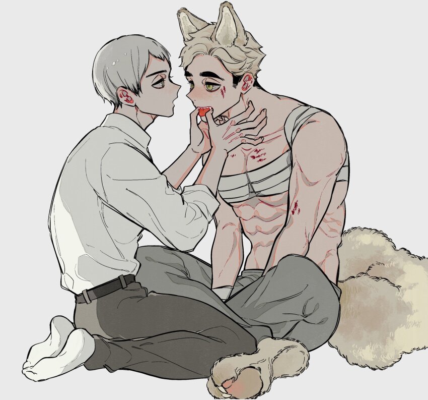 2boys abs animal_ears animal_feet bandaged_chest bandages belt black_belt black_hair blonde_hair blood blood_on_body coco_(238243) collarbone collared_shirt colored_tips commentary eye_contact fangs finger_in_another&#039;s_mouth grey_eyes grey_hair grey_pants haikyuu!! highres indian_style kemonomimi_mode kita_shinsuke looking_at_another male_focus miya_atsumu multicolored_hair multiple_boys pants parted_bangs pectorals seiza shirt shirt_tucked_in simple_background sitting sleeve_cuffs sleeves_rolled_up socks symbol-only_commentary tail teeth thick_eyebrows toned toned_male tongue tongue_out two-tone_hair white_background white_shirt white_socks yellow_eyes