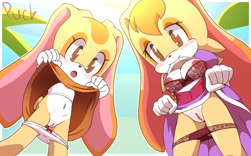 2girls black_bra black_panties bra brown_eyes clothes_lift cream_the_rabbit highres loli mother_and_daughter multiple_girls panties pussy skirt skirt_lift sonic_(series) underwear vanilla_the_rabbit white_panties
