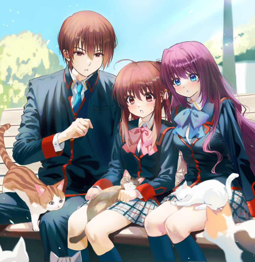 1boy 2girls a-chan_(little_busters!) absurdres ahoge animal animal_on_lap bell bench black_jacket black_pants black_socks blue_bow blue_bowtie blue_eyes blue_necktie blush bow bowtie brother_and_sister brown_cat brown_eyes brown_hair cat cat_on_lap clenched_hands collared_shirt commentary_request day eyelashes feet_out_of_frame grey_skirt hair_bell hair_ornament hand_up highres jacket jingle_bell kneehighs little_busters! little_busters!_school_uniform long_hair long_sleeves looking_at_animal looking_down miiizuno_lbs miniskirt multiple_girls natsume_kyousuke natsume_rin necktie on_bench on_lap open_mouth outdoors pants park_bench parted_lips pink_bow pink_bowtie plaid_clothes plaid_skirt ponytail red_eyes school_uniform shirt short_hair siblings side-by-side sidelocks skirt soap_bubbles socks sweatdrop tareme tsurime very_long_hair white_cat white_shirt