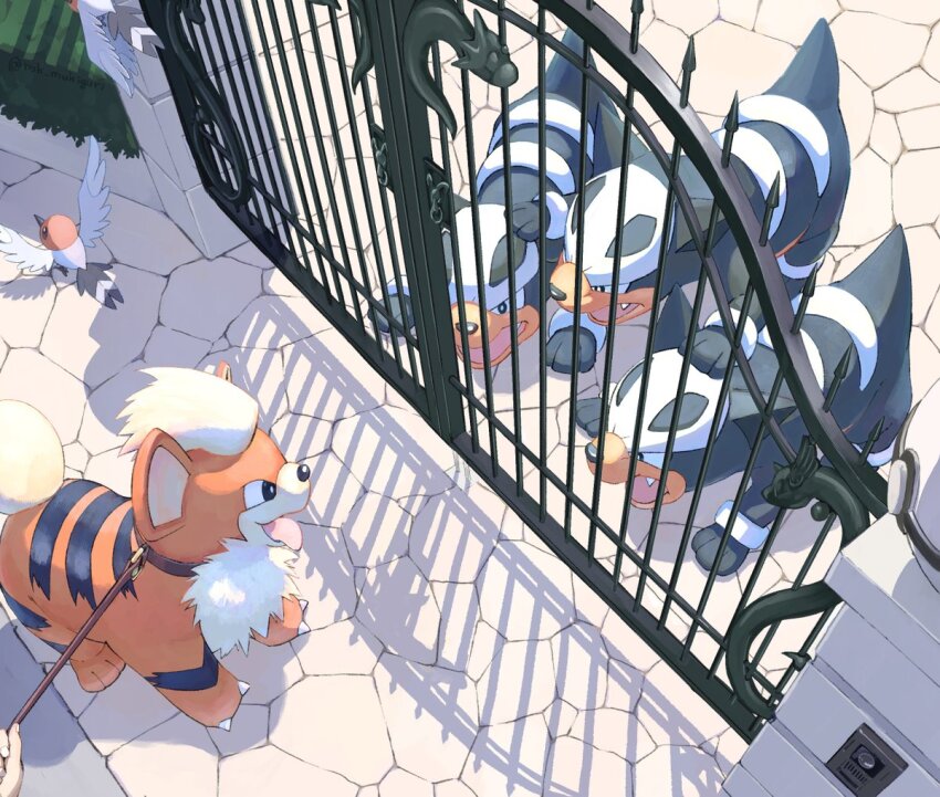 1other bird commentary_request day dog dratini fence fletchling gate gen_1_pokemon gen_2_pokemon gen_6_pokemon growlithe holding holding_leash houndour leash mukiguri nintendo open_mouth outdoors pokemon pokemon_(creature) shadow themed_object tongue tongue_out